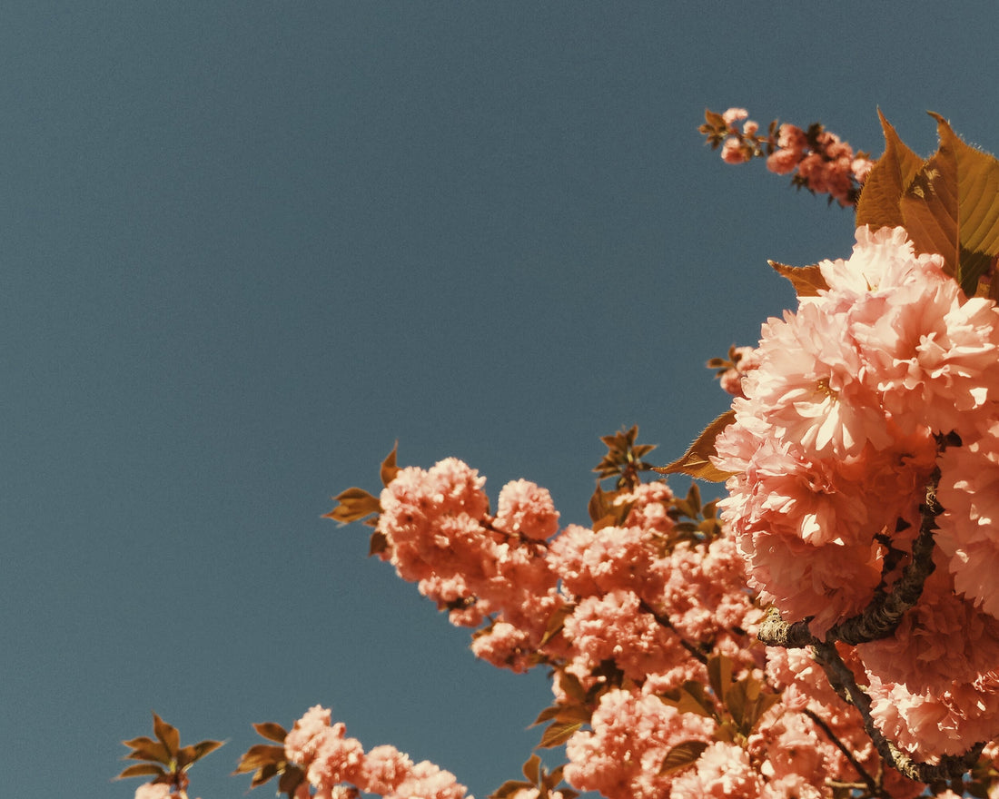 Nurture vs Nature